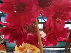 -UNIQLO(朗豪坊店)