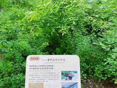 -香山公园