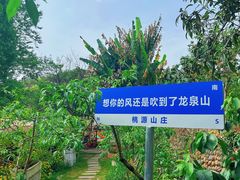 -桃源山庄·水蜜桃采摘·柴火鸡·烧烤团建(龙泉山店)