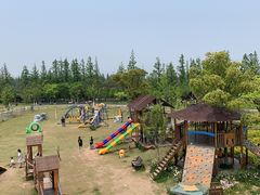 -上海长兴岛郊野公园