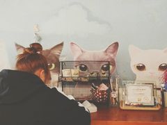 -Cappucimeow猫咪咖啡馆(韦伯时代店)