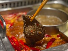 -巴奴毛肚火锅(大剧院店)
