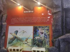 -吉林省自然博物馆