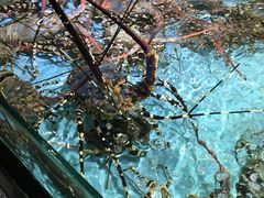 -渔民新村(番禺总店)