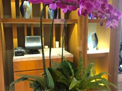 -粤海喜来登酒店·&More聚驿(天河城店)