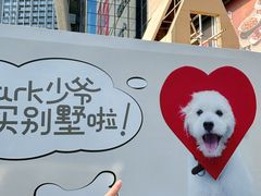 -首开·龙湖成都西宸天街