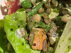 -Wagas沃歌斯(大学路店)