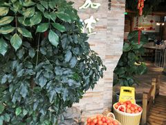 -蕃茄述·好汤自然来(江汉路店)