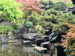 -苏州上方山国家森林公园
