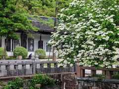 -苏州文庙(姑苏区)