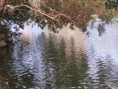 -西湖公园(鼓楼区)