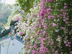 -深圳国际园林花卉博览园