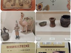 -北京中医药大学-中医药博物馆