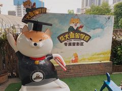 -柴犬高等学院·狗咖·柴犬售卖·宠物训练