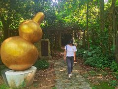 -广西壮族自治区药用植物园