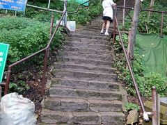 -凤凰山国家森林公园