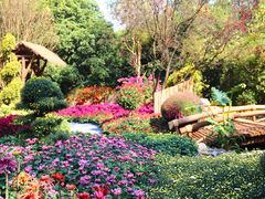 -杭州植物园