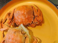 -牛New寿喜烧(新六百店)