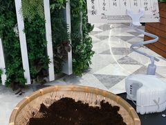 -鹊茶咖啡•新中式(深圳首店)