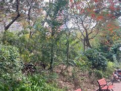 -九龙公园
