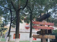 -荆州中山公园动物园