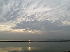 -合肥滨湖国家森林公园