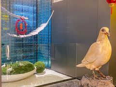 -琬苑鸽庄·川粤融合菜(解放碑总店)