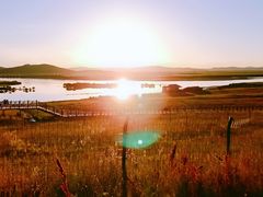 -黄河九曲第一湾