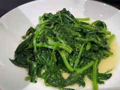 -羊门客在·烤盐池滩羊·川菜