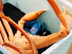 -东海怡品海鲜豆捞(舟宿夜江店)