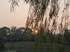 -洋湖国家湿地公园