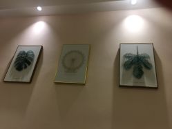-倩极·精研痘敏肌管理
