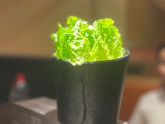 -九田家黑牛烤肉料理(太阳城店)