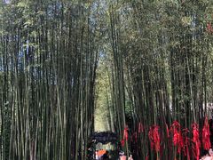 -竹泉村旅游度假区