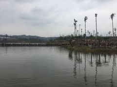 -枫香湖儿童公园