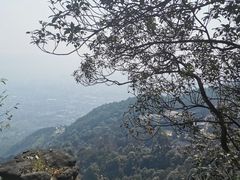 -缙云山景区