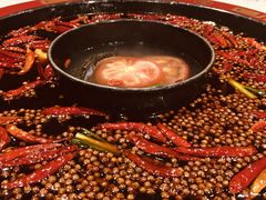 红白鸳鸯-骉骉老火锅(铁像寺路店)