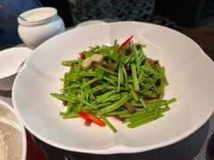 -秀儿四九城·新京菜(亚运村鸟巢店)