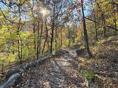 -阳台山自然风景区