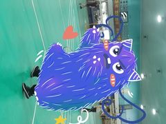 -上海博宽羽毛球馆(双桥路分部)