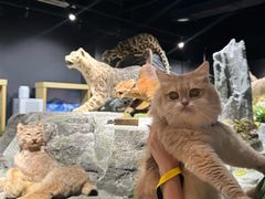 -厦门诚毅自然探索馆