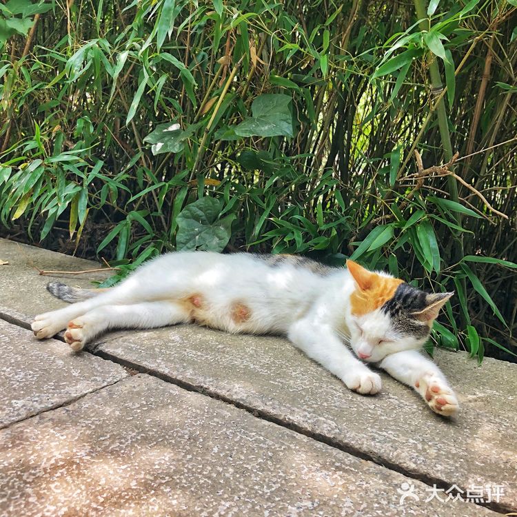 来青岛请收藏🌟｜必玩榜➕小众推荐💎