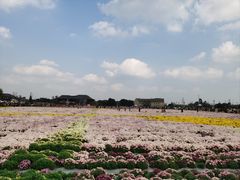 -中国天府农业博览园