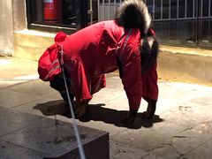 -PETKIT小佩宠物·低压洗护(国顺东路店)