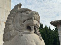 -洛阳古墓博物馆