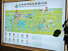 -上海海湾国家森林公园