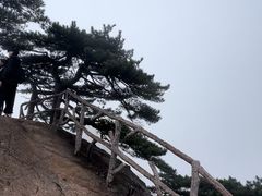 -黄山风景区