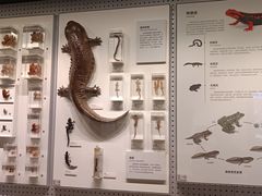 -四川大学博物馆