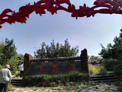 -武清南湖绿博园