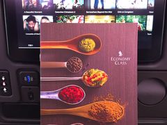 -新加坡航空公司(ION)